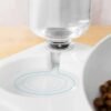 Water Bottle Feeder for Pets