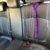 Car Seat Belt for Pets